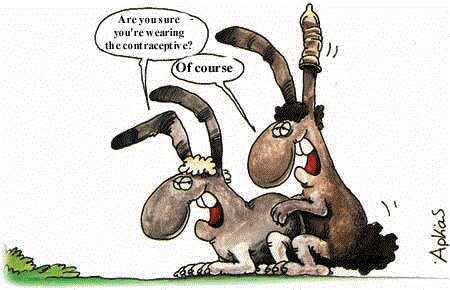 controceptive.jpg (20380 bytes)