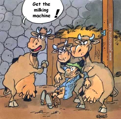 cow_revenge.jpg (38279 bytes)