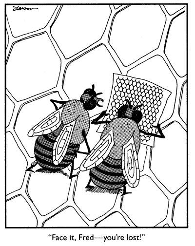 lost.gif (27700 bytes)