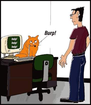 mouse.jpg (20544 bytes)