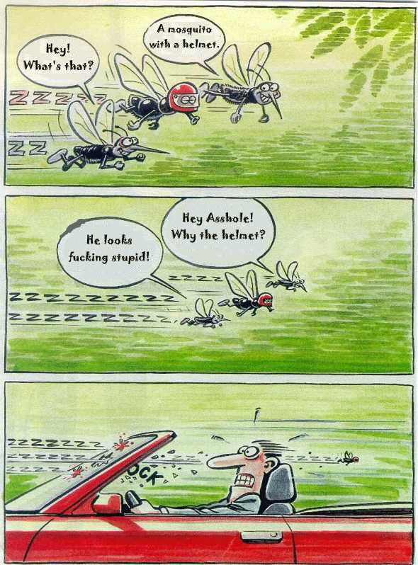 mozzie.jpg (137976 bytes)