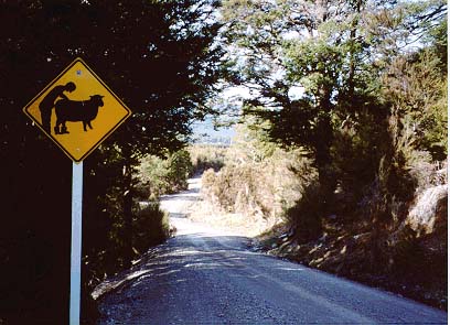 roadsign.jpg (44067 bytes)